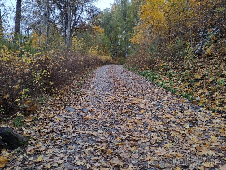Золотой Плёс. Часть 2