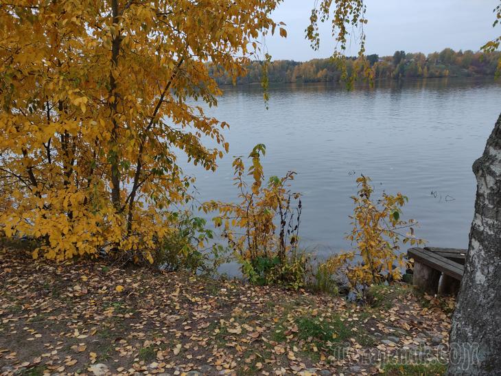 Золотой Плёс. Часть 2