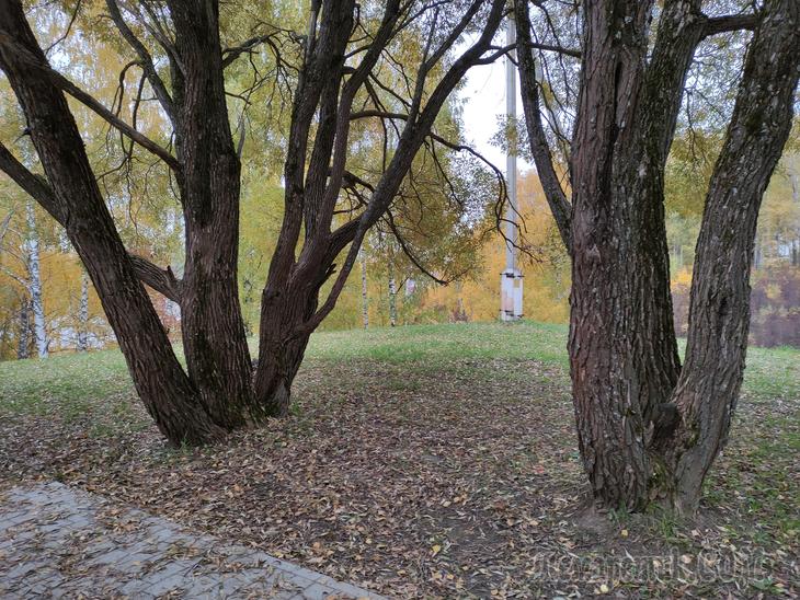 Золотой Плёс. Часть 2