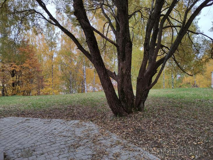 Золотой Плёс. Часть 2