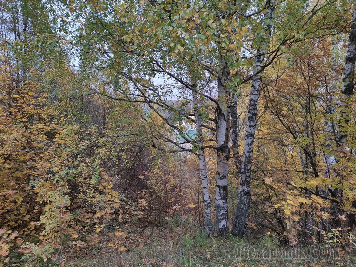 Золотой Плёс. Часть 2