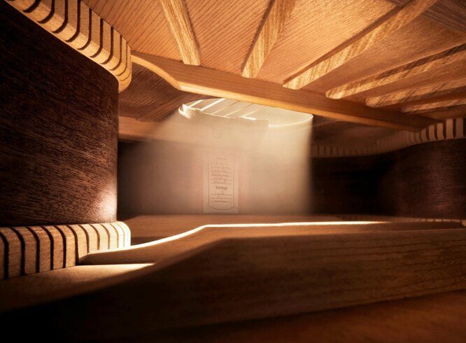 10 потрясающих макроснимков, которые раскроют для вас невероятный микромир