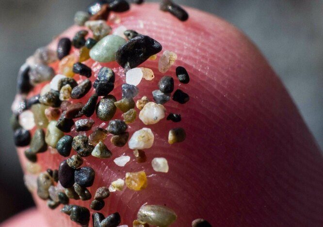 10 потрясающих макроснимков, которые раскроют для вас невероятный микромир