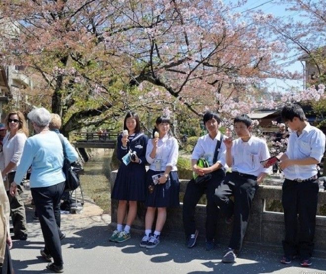 10 самых необычных школьных предметов разных стран мира