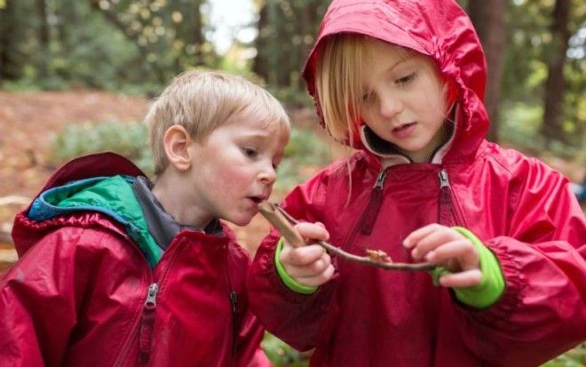 10 самых необычных школьных предметов разных стран мира