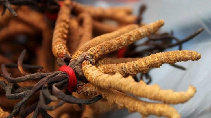 10 вещей, которые значительно дороже золота