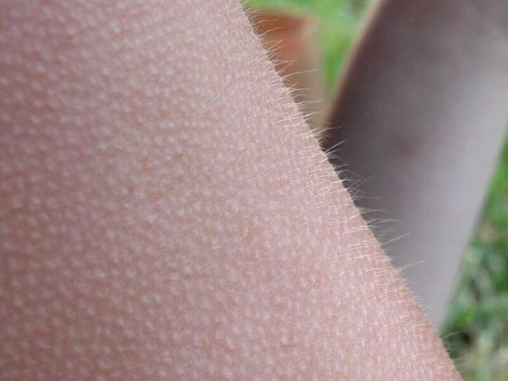 12 увлекательных фактов о нашей планете, которыми вы точно поделитесь с друзьями