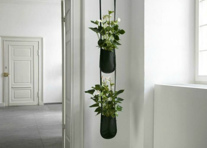 15 замечательных способов озеленения квартиры, которые добавят свежести интерьеру