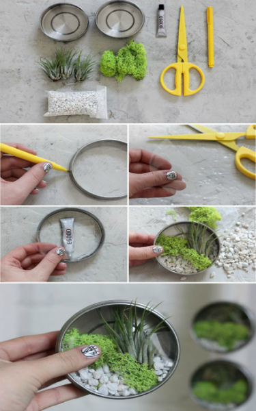 17 фантастических флорариумов, которые станут неповторимыми украшениями для любого дома