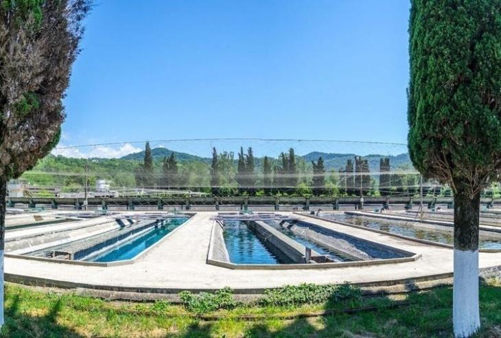 20 лучших мест в Сочи, которые нужно увидеть обязательно