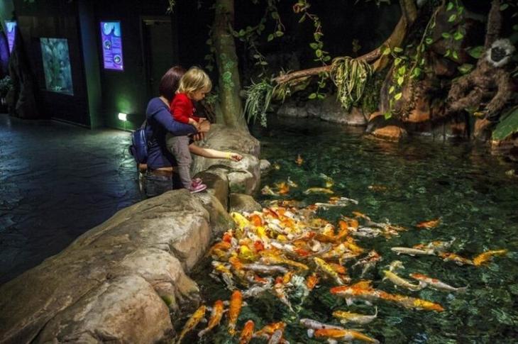 20 лучших мест в Сочи, которые нужно увидеть обязательно