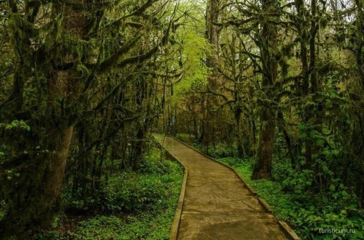 20 лучших мест в Сочи, которые нужно увидеть обязательно