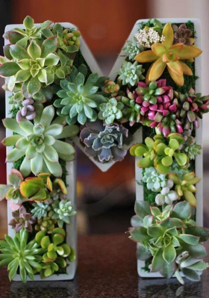 23 креативных цветочных горшка, которые сделают интерьер оригинальным