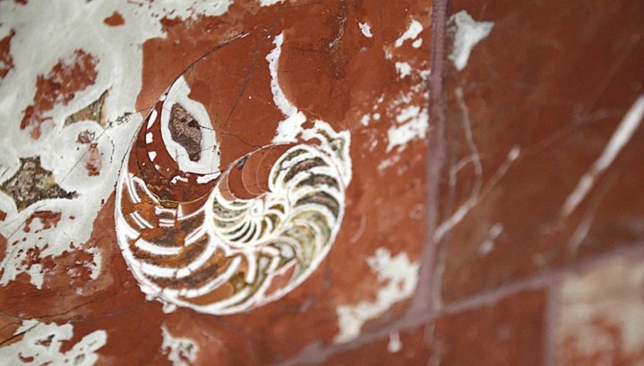 8 тайн московского метрополитена