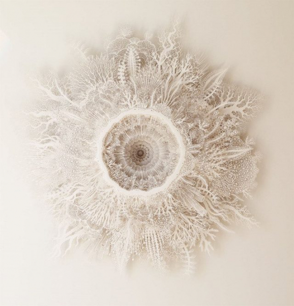 Бумажное искусство от Рогана Брауна