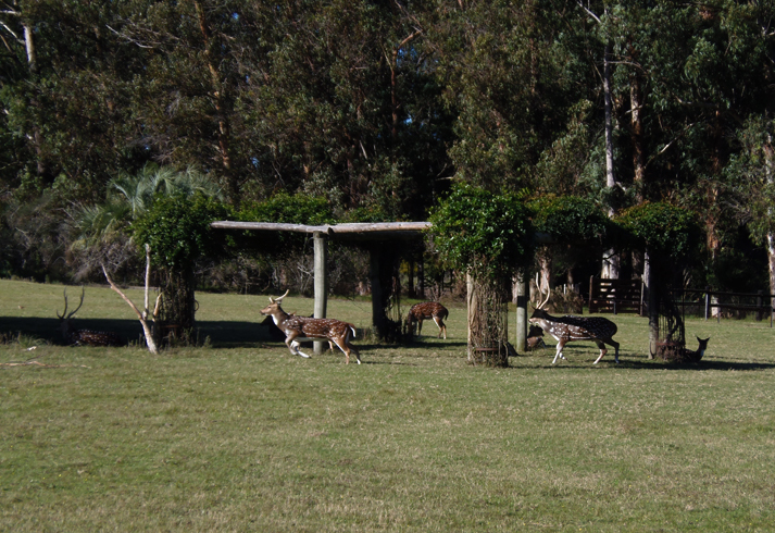 Что посмотреть в Уругвае