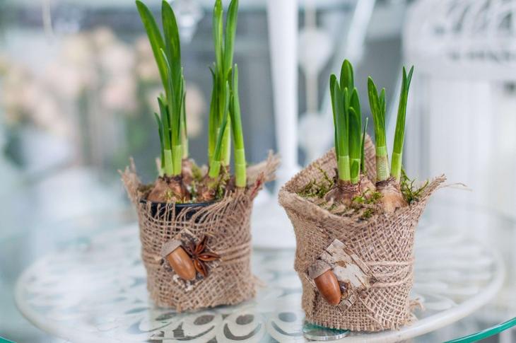 Декор горшков — фото идеи создания красивого оформления цветочных горшков