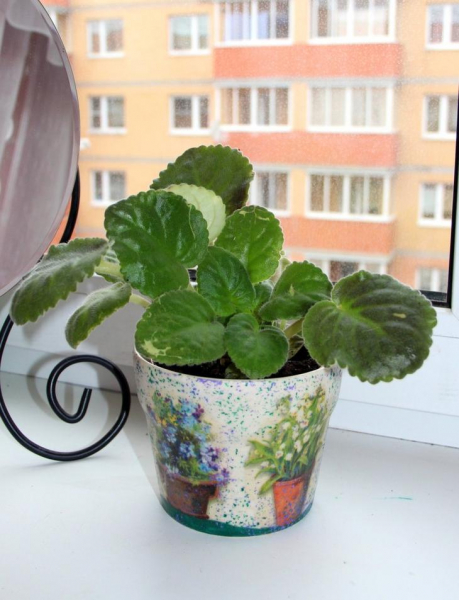 Декор горшков — фото идеи создания красивого оформления цветочных горшков