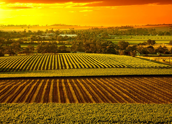 Достопримечательности Аделаиды - ФОКУС ВНИМАНИЯ