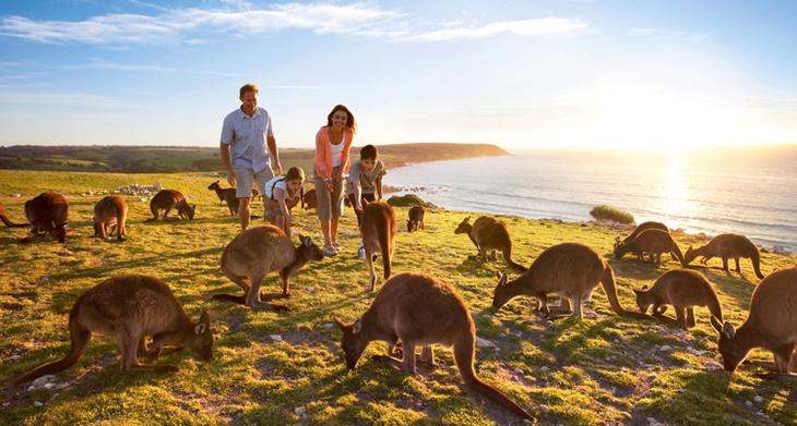 Достопримечательности Аделаиды