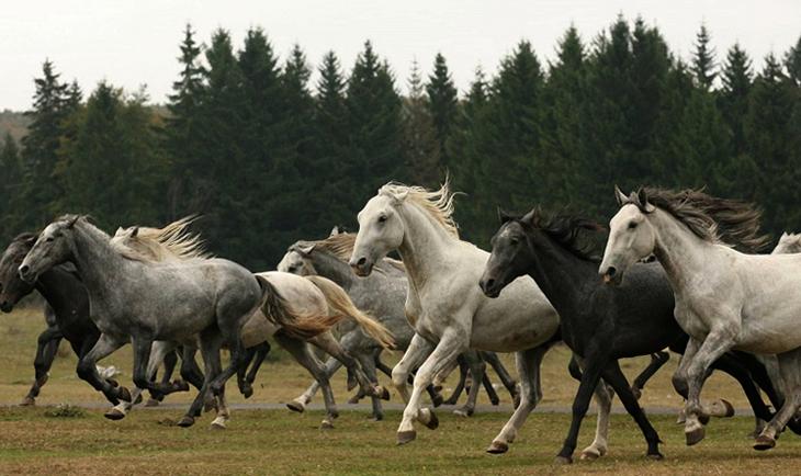 Достопримечательности Эгера: обзор, фото и описание