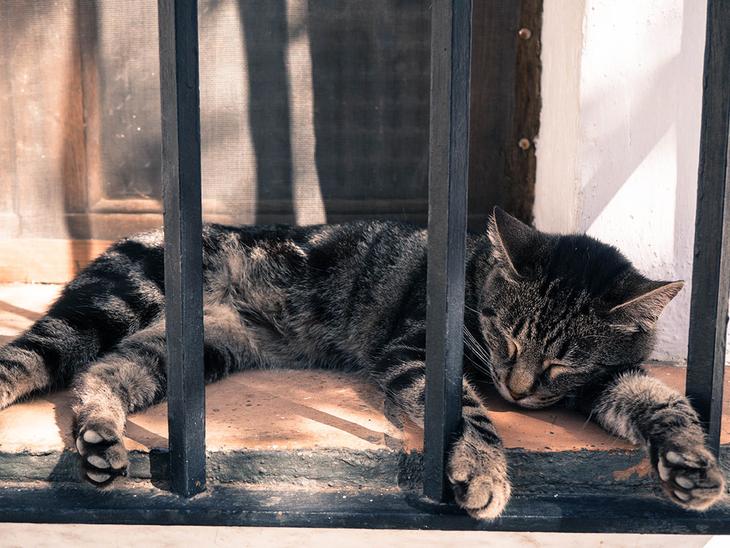 Гранада – жемчужина испанской Андалусии: интересные места и достопримечательности