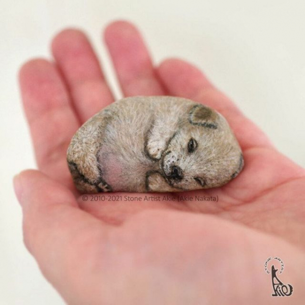 Художница оживляет камни, превращая их в очаровательных животных