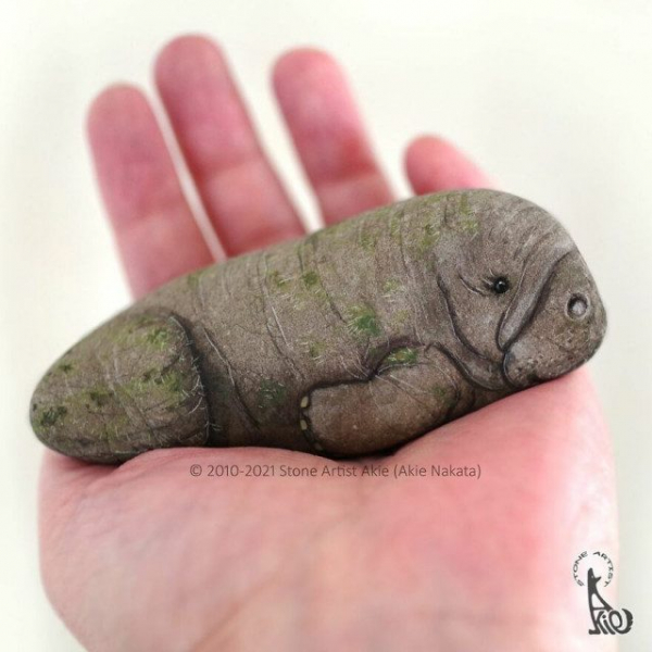 Художница оживляет камни, превращая их в очаровательных животных