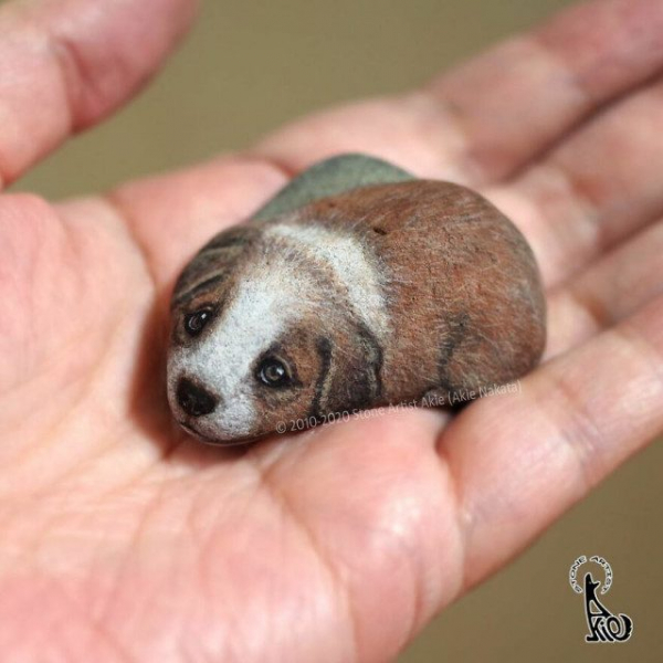 Художница оживляет камни, превращая их в очаровательных животных