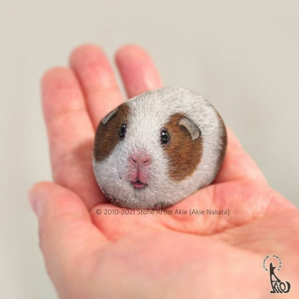 Художница оживляет камни, превращая их в очаровательных животных