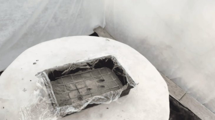 Неожиданная идея использования лотка для рассады