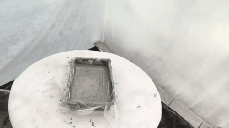 Неожиданная идея использования лотка для рассады