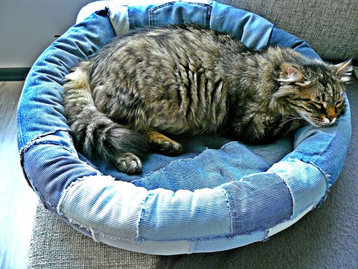 Нескучная жизнь денима: идеи использования старой джинсовой одежды