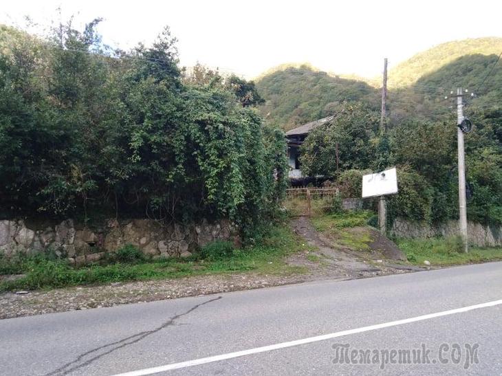 Однодневная экскурсия по Абхазии из Сочи. А впечатений много