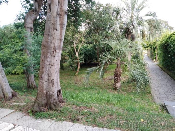 Однодневная экскурсия по Абхазии из Сочи. А впечатений много