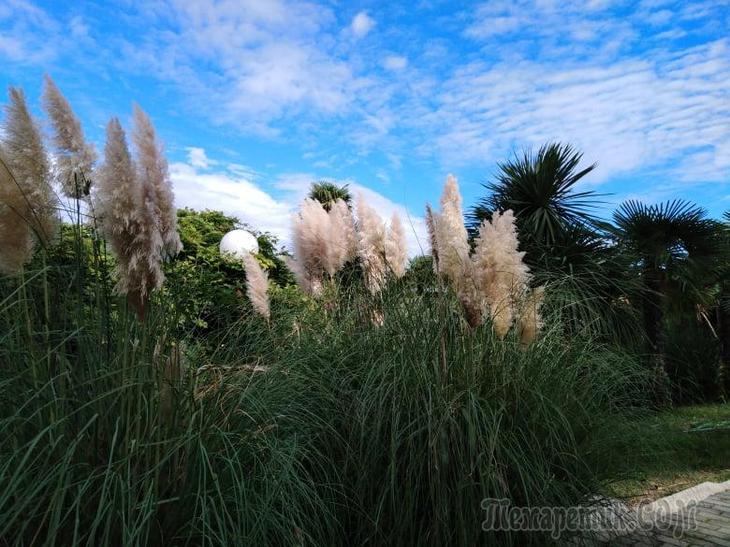 Однодневная экскурсия по Абхазии из Сочи. А впечатений много