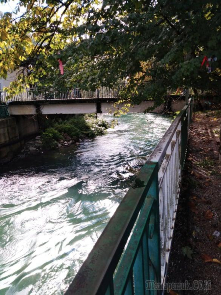Однодневная экскурсия по Абхазии из Сочи. А впечатений много