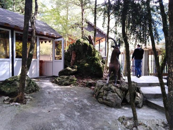 Однодневная экскурсия по Абхазии из Сочи. А впечатений много