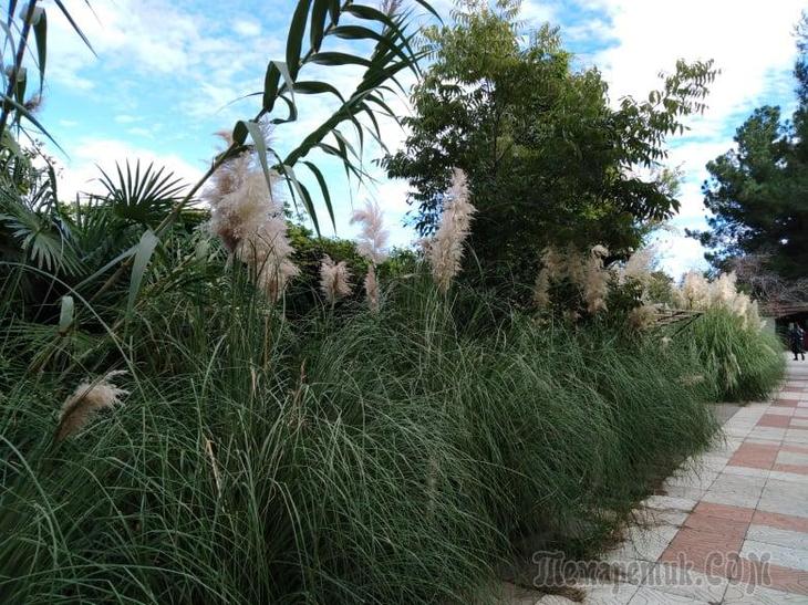 Однодневная экскурсия по Абхазии из Сочи. А впечатений много