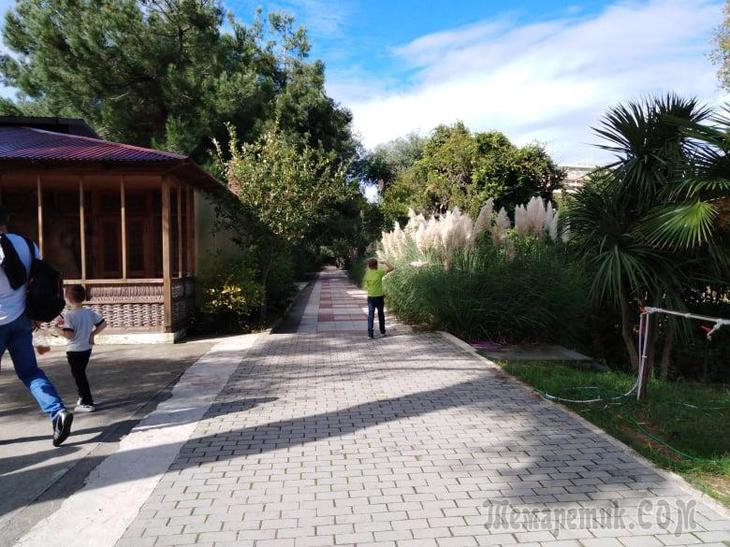 Однодневная экскурсия по Абхазии из Сочи. А впечатений много