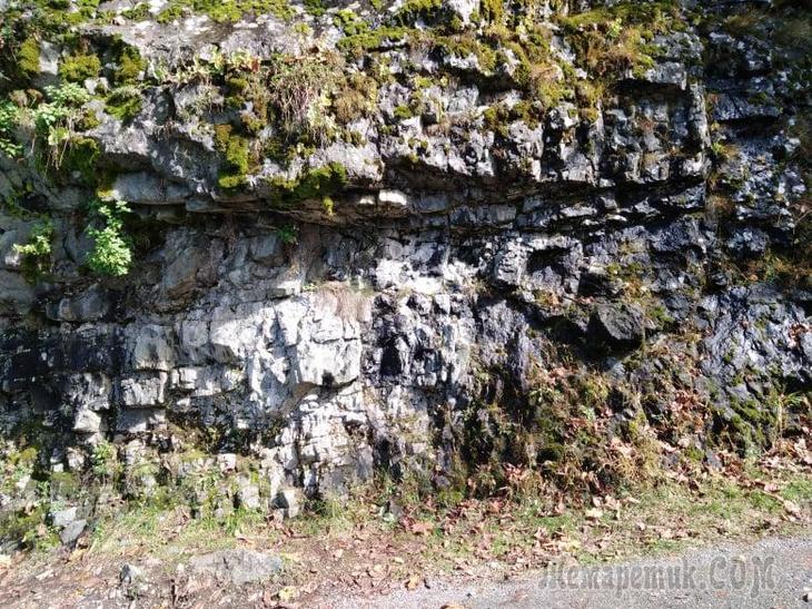 Однодневная экскурсия по Абхазии из Сочи. А впечатений много