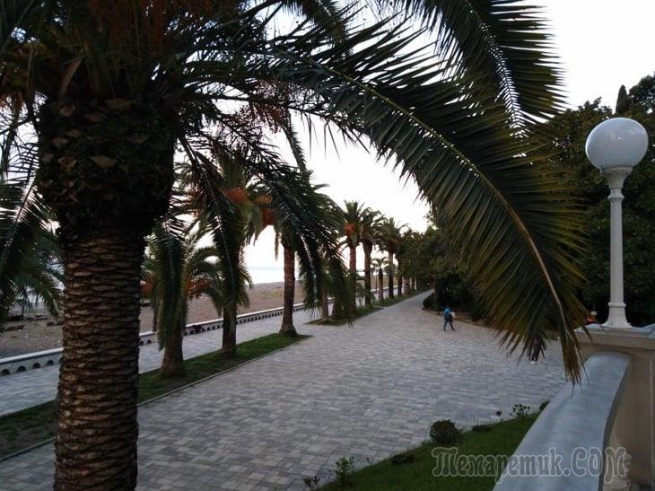 Однодневная экскурсия по Абхазии из Сочи. А впечатений много