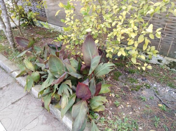 Однодневная экскурсия по Абхазии из Сочи. А впечатений много