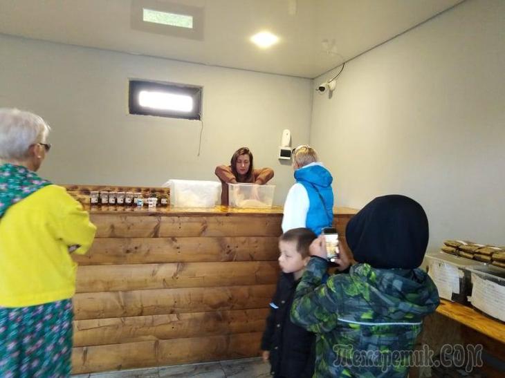 Однодневная экскурсия по Абхазии из Сочи. А впечатений много