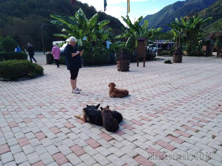Однодневная экскурсия по Абхазии из Сочи. А впечатений много