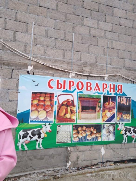 Однодневная экскурсия по Абхазии из Сочи. А впечатений много