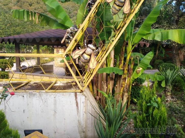 Однодневная экскурсия по Абхазии из Сочи. А впечатений много