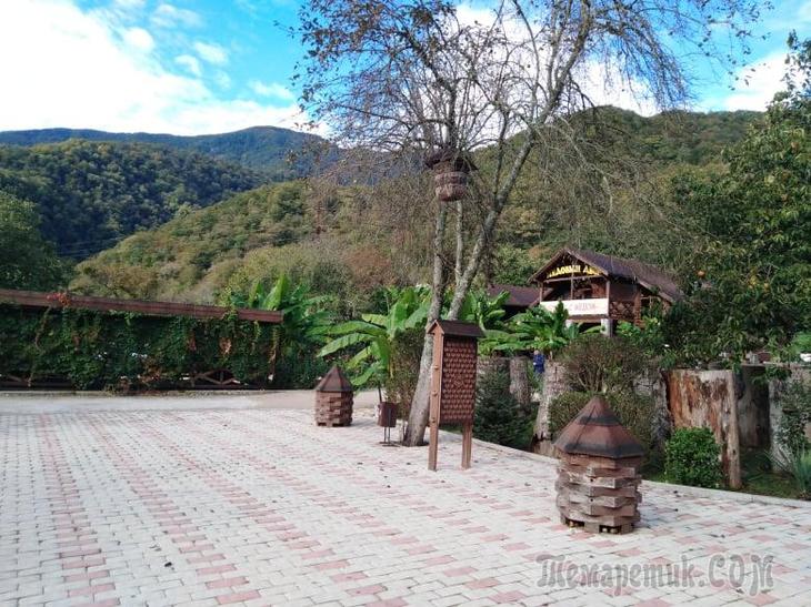 Однодневная экскурсия по Абхазии из Сочи. А впечатений много