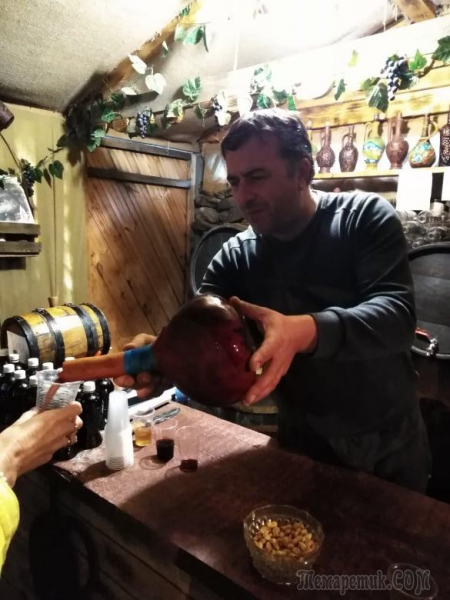 Однодневная экскурсия по Абхазии из Сочи. А впечатений много