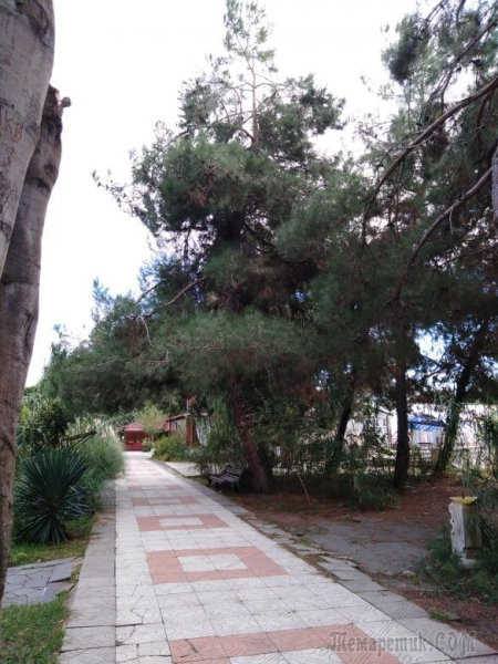 Однодневная экскурсия по Абхазии из Сочи. А впечатений много